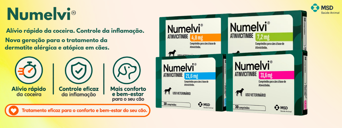 numelvi desk